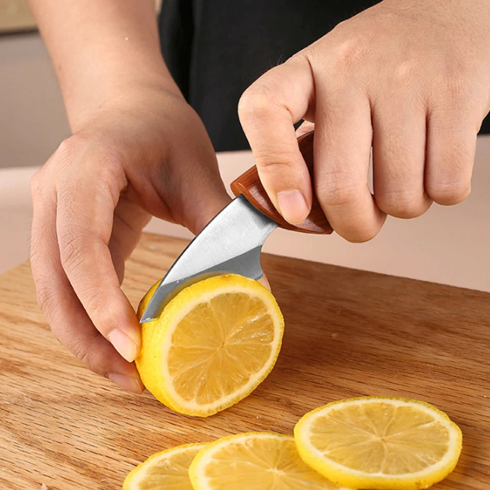 Wooden Handle Mini Pocket Knife Pack of 3