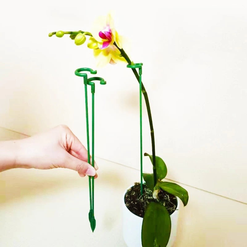 10 Pcs Mini Portable Plant Holder